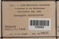 Lycogala epidendrum image